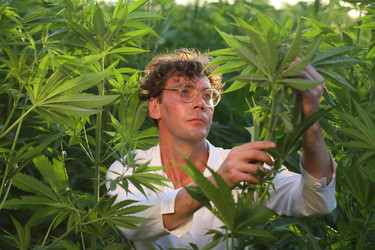 Similar image 21177284