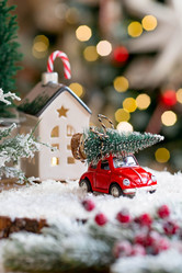 Similar image 21171800