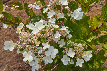 Similar image 21185067