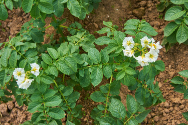 Similar image 21194468