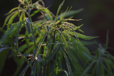 Similar image 21182609