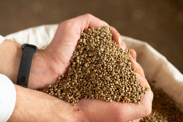 Similar image 21177098