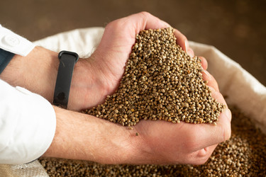 Similar image 21177099