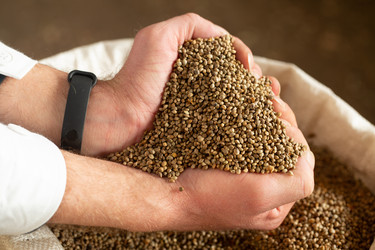 Similar image 21177100