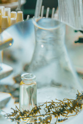 Similar image 21188744