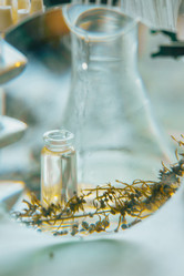 Similar image 21188746