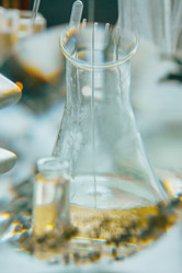 Similar image 21188748