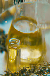 Similar image 21177106