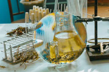 Similar image 21177115