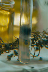 Similar image 21177118