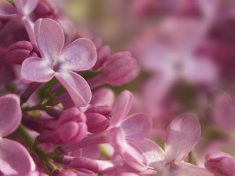 Similar image 21171811