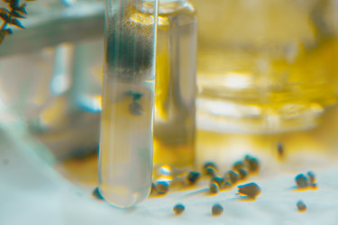 Similar image 21177121