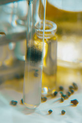 Similar image 21177122