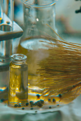 Similar image 21177124