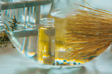 Similar image 21177285