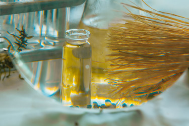 Similar image 21177286