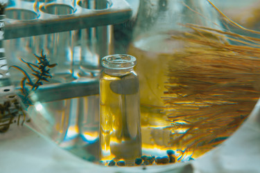 Similar image 21177287