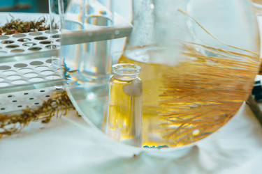 Similar image 21177288