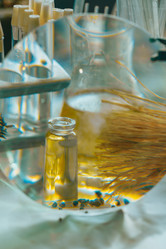 Similar image 21177289