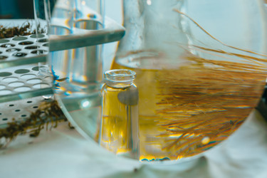 Similar image 21177290