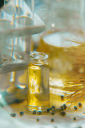 Similar image 21177291