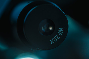 Similar image 21177295