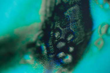 Similar image 21177296