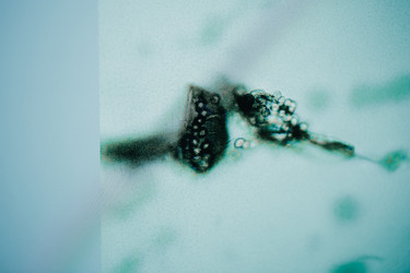 Similar image 21177297