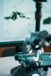 Similar image 21177298