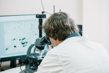 Similar image 21177871