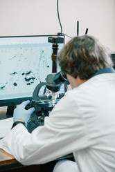 Similar image 21177872