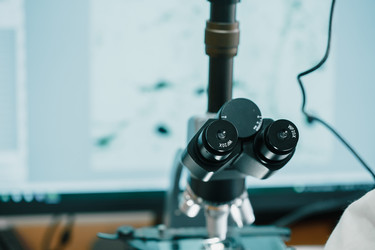 Similar image 21177300