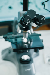 Similar image 21177301