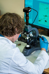 Similar image 21177303