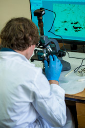 Similar image 21177306