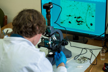 Similar image 21177307