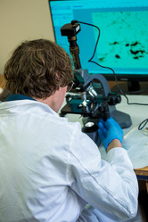 Similar image 21177308