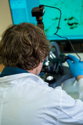 Similar image 21177309