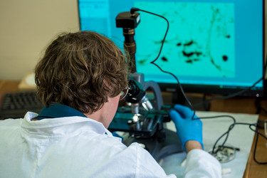 Similar image 21177311