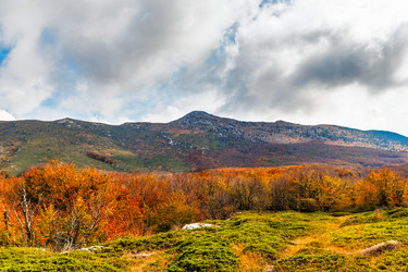 Similar image 21171815