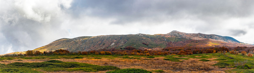 Similar image 21171816