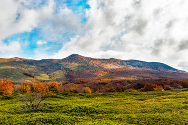 Similar image 21171817