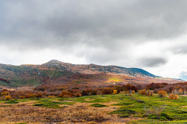 Similar image 21171818