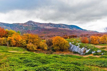 Similar image 21171819