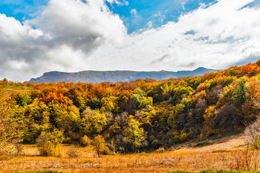 Similar image 21171820