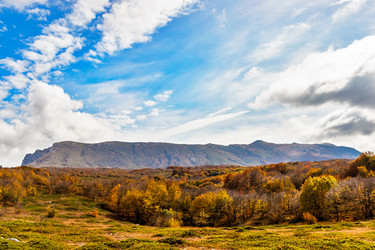 Similar image 21171822