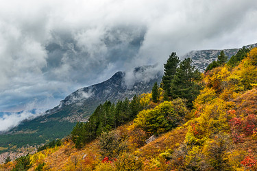 Similar image 21171824