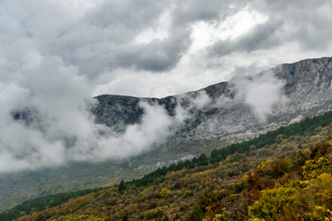 Similar image 21171825