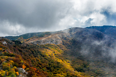 Similar image 21171826