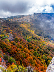 Similar image 21171827